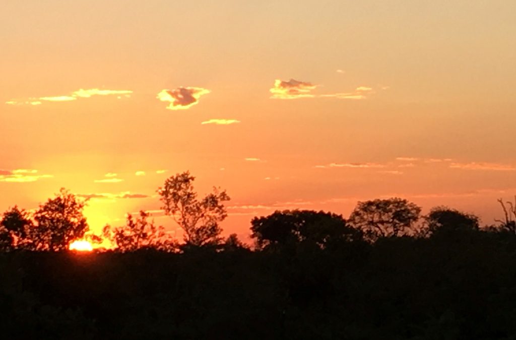 Safari Lodge Discovery: Makanyi